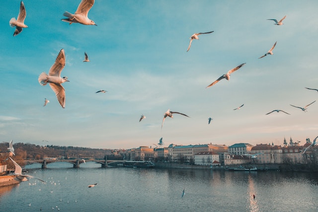 anthony-delanoix-btQt9i0Krag-unsplash
